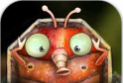 Small beetle home   