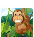 Little monkey fruit picking   