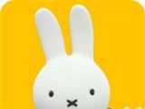 Little Miffy Bunny's World   