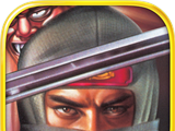 Revenge of the Ninja   