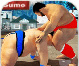 Sumo Fighting   