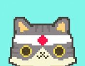 The cat is alive and kicking   