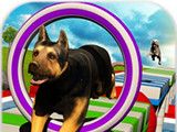 Stunt Dog   