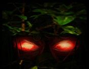 Survival: The Lost World   