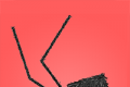 Daddy Long Legs   