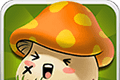 Play mushrooms every day   