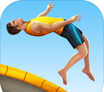 Flip Master   