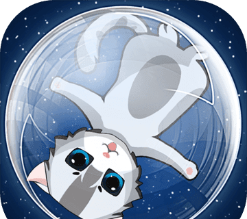 Tumbling Kitten   