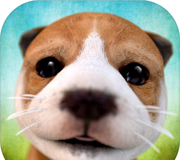 Dog simulation   