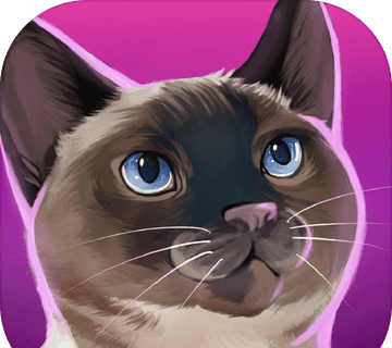 Cat Hotel   