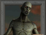 Virtual Graveyard V R  