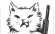 Pirate Cat   