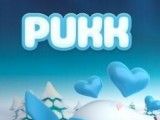Pukk   