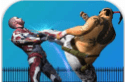 Large Combat Fighting   