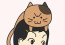 Our Cat   