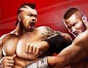 Champion Fighting 3D   