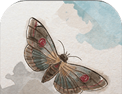 Butterfly of Darkness   
