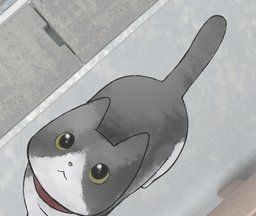 Lost cat story   