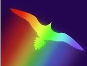 Soar:Tree   Of Life