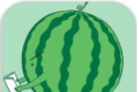 Play watermelon every day   