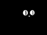 Where is my cat   