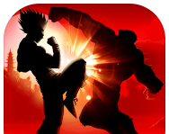 Shadow Combat   