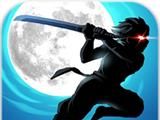 Ninja Raid Parkour   