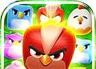 Meng bird big blasting   