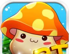Invincible Adventure King BT   Compote edition