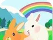 Breeding King Flower Heart Rabbit   
