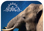 3D Elephant Nurture   