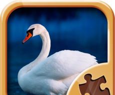 Epic Puzzle   