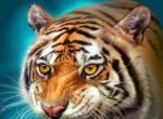 Tiger Simulator   
