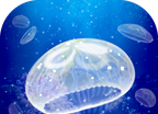 Jellyfish Nurture   3DM Han  Hua  Ban 