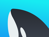 Whale Esports   