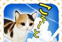 Cat Escape    An  Zhuo  Ban 