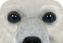 Ultimate Arctic Simulator   