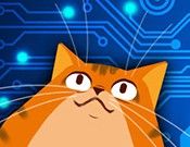 Robot Save Kitten   