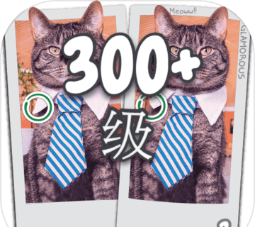 Find Difference 300 Level   