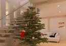 Escape game: Christmas   