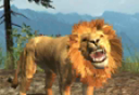 Lion Simulation   