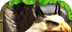 Griffin Simulation   