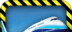 Simulated Flying Plane 3D   