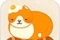 Kitty Bakery   