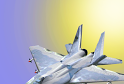 Simulation of remote control aircraft   