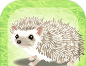 Cured Hedgehog Breeding Game   