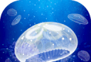 Healing Jellyfish Cultivation Game   