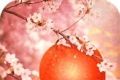 Escape the Cherry Blossom Festival   