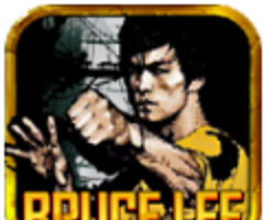 Bruce Lee Kung Fu King   