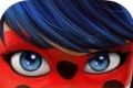 Ladybug Reddy and Black Cat   